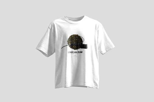 Tee — Lishan GABA Oolong